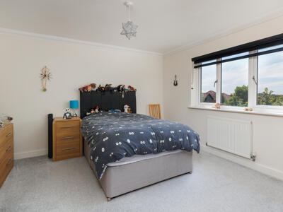 Picture 21